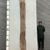 live-edge-walnut-wood-slab-back-wa-018-01.jpg Live Edge Walnut Slab WA 018-01