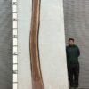 live-edge-walnut-wood-slab-back-wa-019-01.jpg Live Edge Walnut Slab WA 019-01