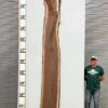 live-edge-walnut-wood-slab-back-wa-256-01.jpg Live Edge Walnut Slab WA 256-01