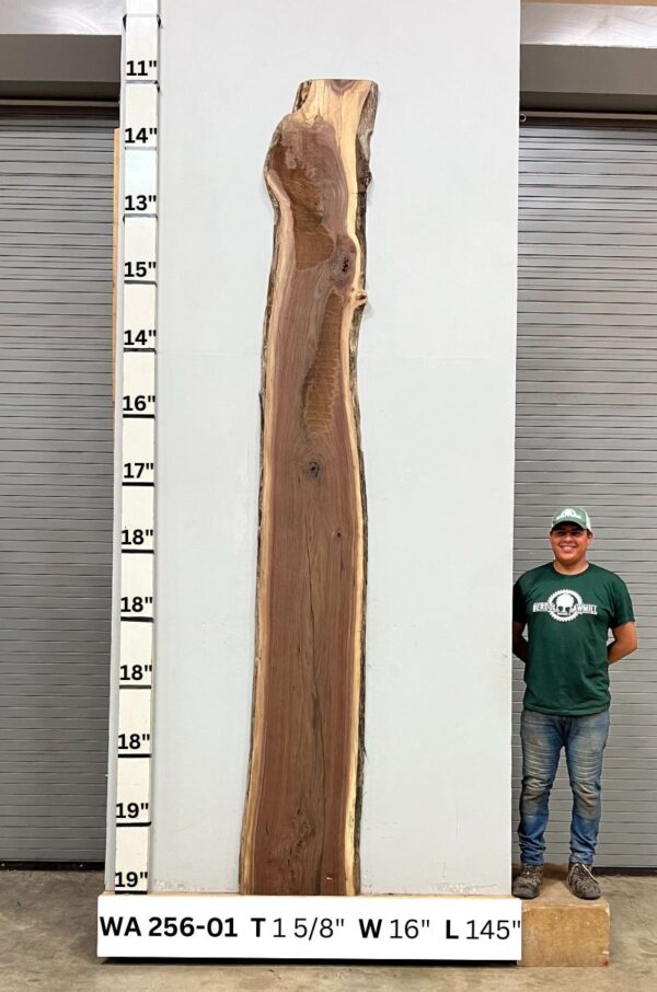 live-edge-walnut-wood-slab-back-wa-256-01.jpg Live Edge Walnut Slab WA 256-01