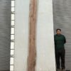 live-edge-walnut-wood-slab-front-wa-018-01.jpg Live Edge Walnut Slab WA 018-01