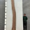 live-edge-walnut-wood-slab-front-wa-019-01.jpg Live Edge Walnut Slab WA 019-01