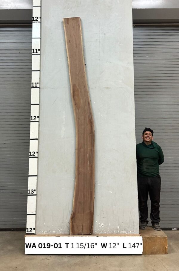 live-edge-walnut-wood-slab-front-wa-019-01.jpg Live Edge Walnut Slab WA 019-01