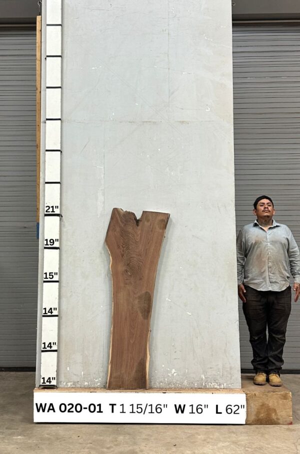 live-edge-walnut-wood-slab-front-wa-020-01.jpg Live Edge Walnut Slab WA 020-01