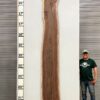 live-edge-walnut-wood-slab-front-wa-256-01.jpg Live Edge Walnut Slab WA 256-01