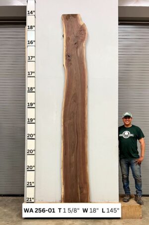 live-edge-walnut-wood-slab-front-wa-256-01.jpg Live Edge Walnut Slab WA 256-01