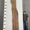 live-edge-walnut-wood-slab-front-wa-262-01.jpg Live Edge Walnut Slab WA 262-01