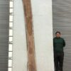 live-edge-walnut-wood-slab-front-wa-305-01.jpg Live Edge Walnut Slab WA 305-01