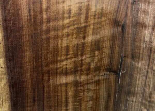 live-edge-walnut-wood-slab-grain-detail-wa-262-01.jpg Live Edge Walnut Slab WA 262-01