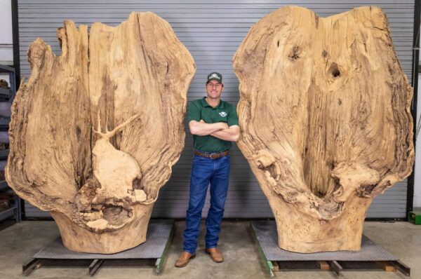 texas-twins.jpg Brazos Texas Twins