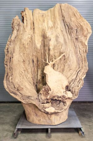 texas-twins-left.jpg Brazos Texas Twins